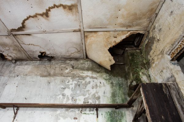 Water Damage Service in Glenview