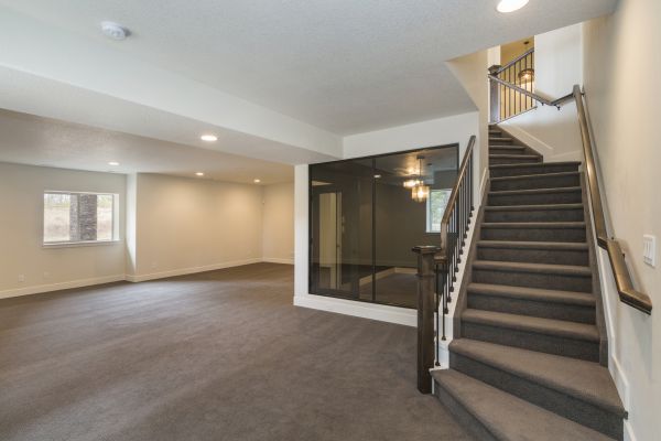 Basement Restoration Service in Glenview