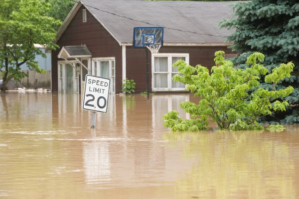 Storm Restoration Service in Glenview