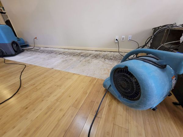 Water Damage Mitigation in Glenview