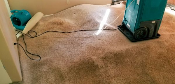 Cost of Flood Damage Cleanup in Glenview