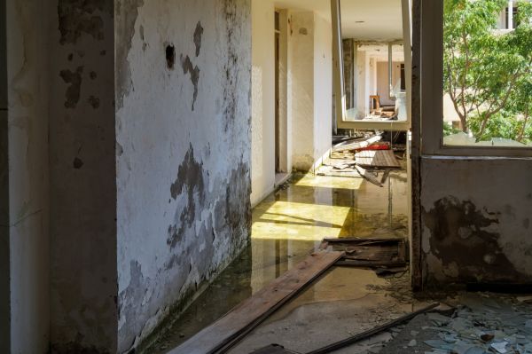 Cost of Water Removal Service in Glenview