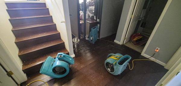 Water Damage Remediation in Glenview