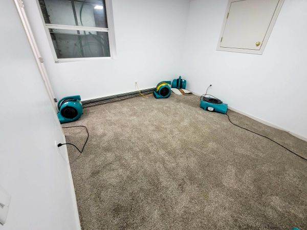 Flood Restoration Service in Glenview