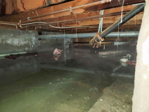 Water Mitigation Service in Glenview
